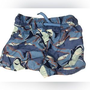 Shark swim trunks 🩳 6m